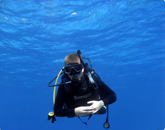 open water diver